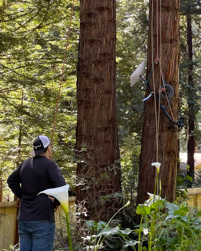 Mounting a Starlink Antenna and Tree Maintenance