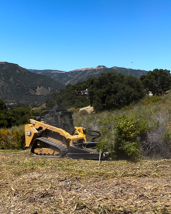 La sirenita tree service lot clearing v2 - best tree service near me salinas-sacramento california