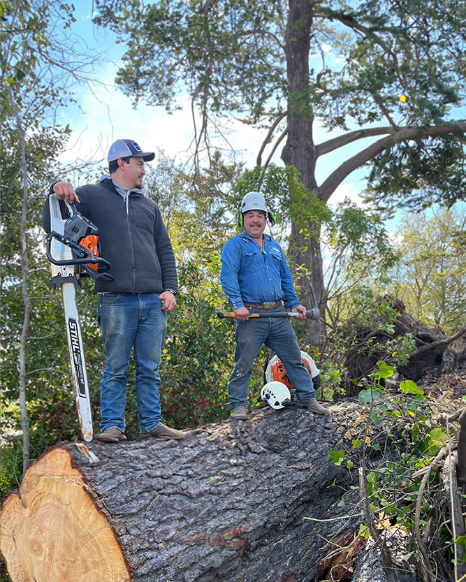 La sirenita tree service team - best tree service salinas sacramento san jose California